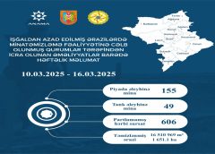 Azad edilmiş ərazilərdə daha 204 mina aşkarlanıb